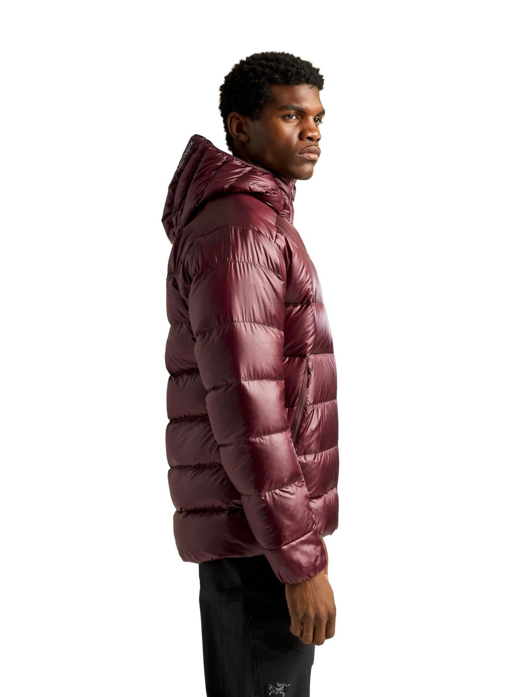 Arc'teryx Men's Cerium SV Hoody